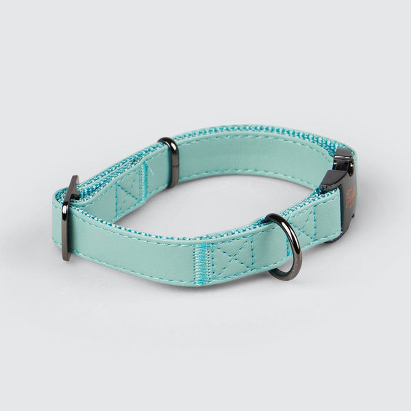 Turquoise Dog Collar, Capri in Rose Gold Dog Collar