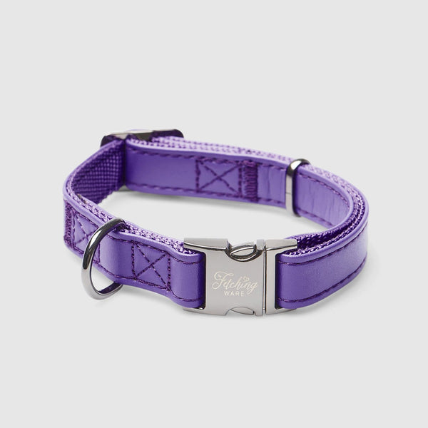 Dark purple dog clearance collar